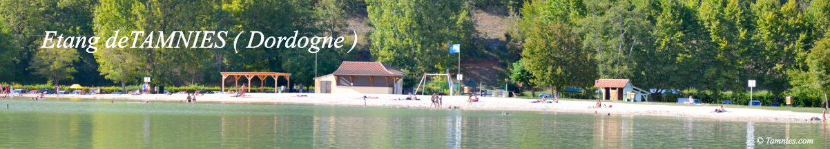 Etang de Tamnies - Etang de Pche Baignade Table pour Pique Nique